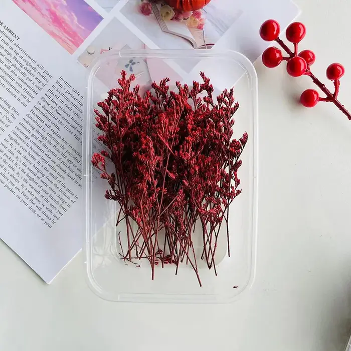 Kit de loisirs créatifs avec fleurs séchées, matériel floral décoratif pour l'ornementation artistique de la maison
