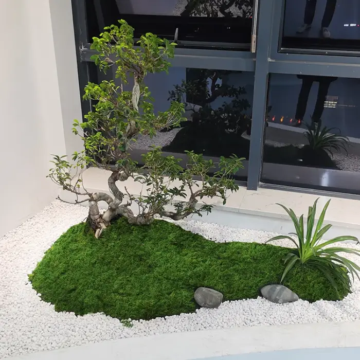 Mousse artificielle imétique pour la décoration de la maison