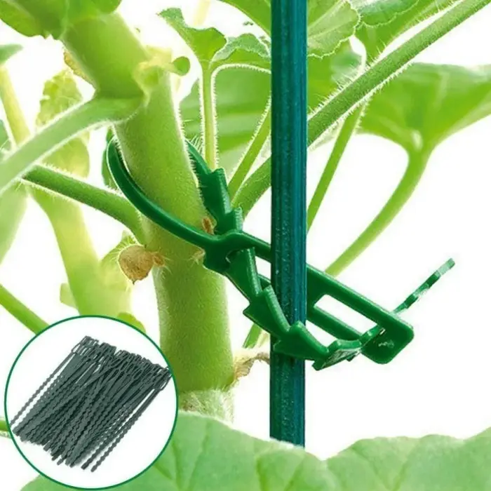 Attaches de câble réglables en plastique pour plantes