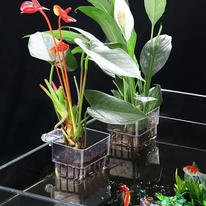 Porte-plante d'aquarium