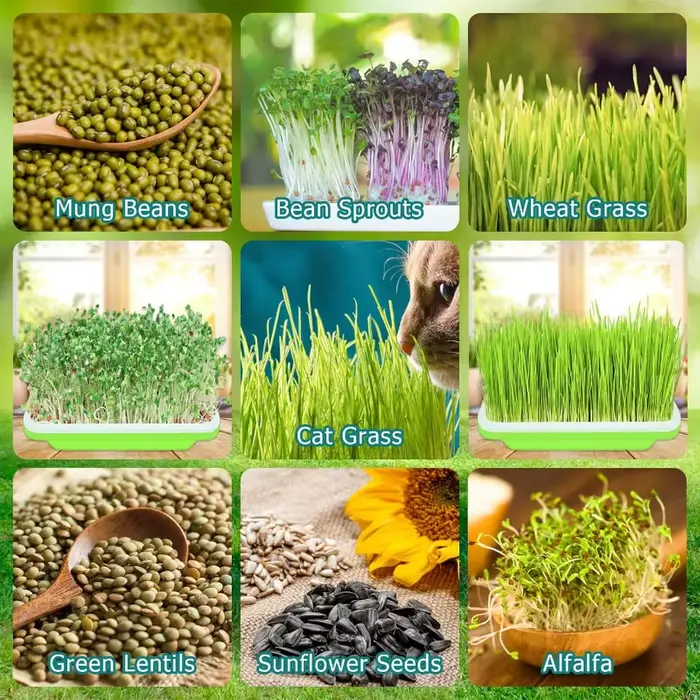 Plateau de Germination Pot de graines de plantes jardin Double couche Arc système de culture hydroponique sans sol Pots de semis accessoires de jardinage