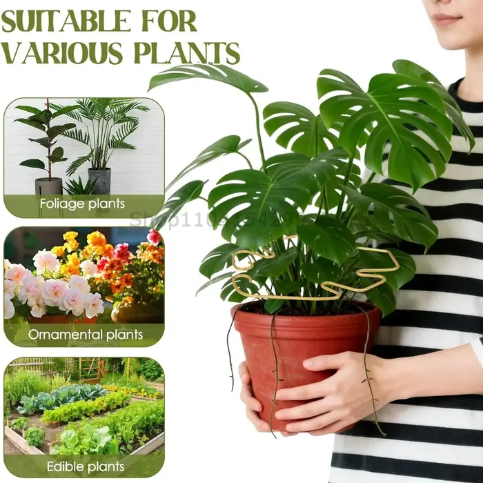 Support pour plantes hautes