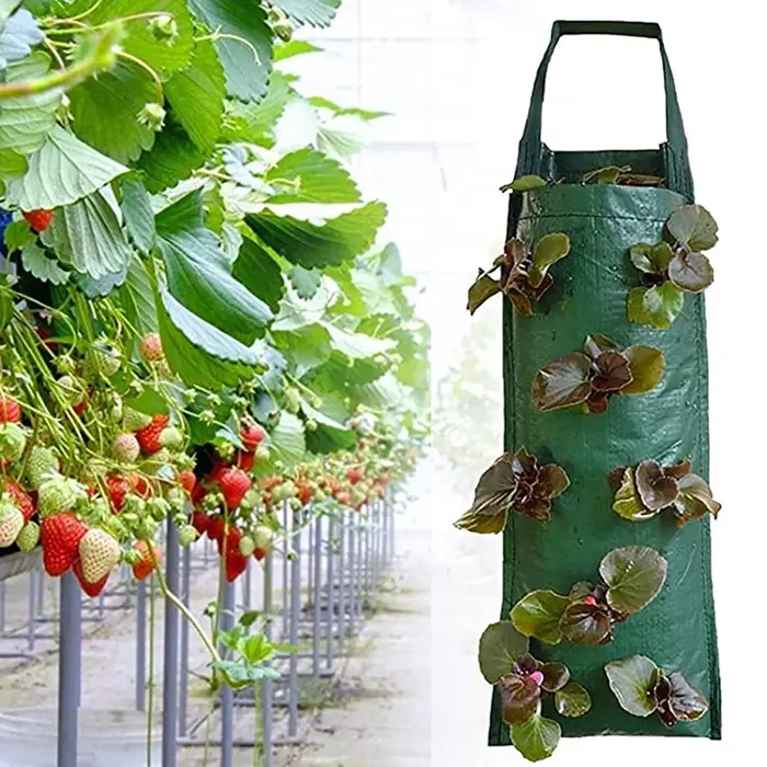 Sacs de culture de plantes Harvey