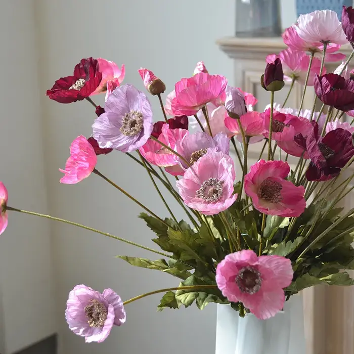 59M américain automne Vintage coquelicot fleur Tour Clap mains tenir fleurs photographie maison mariage salon