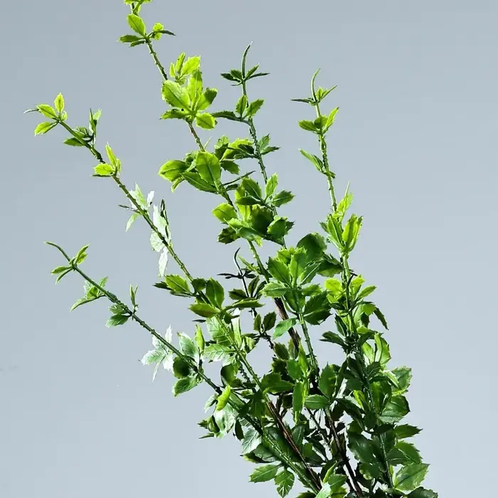 6 pièces de plantes artificielles décoratives pour café