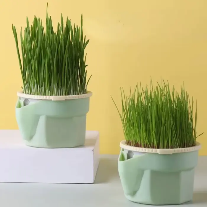 Nouveau plat de germe de chat pour animaux de compagnie Pot de culture plante hydroponique