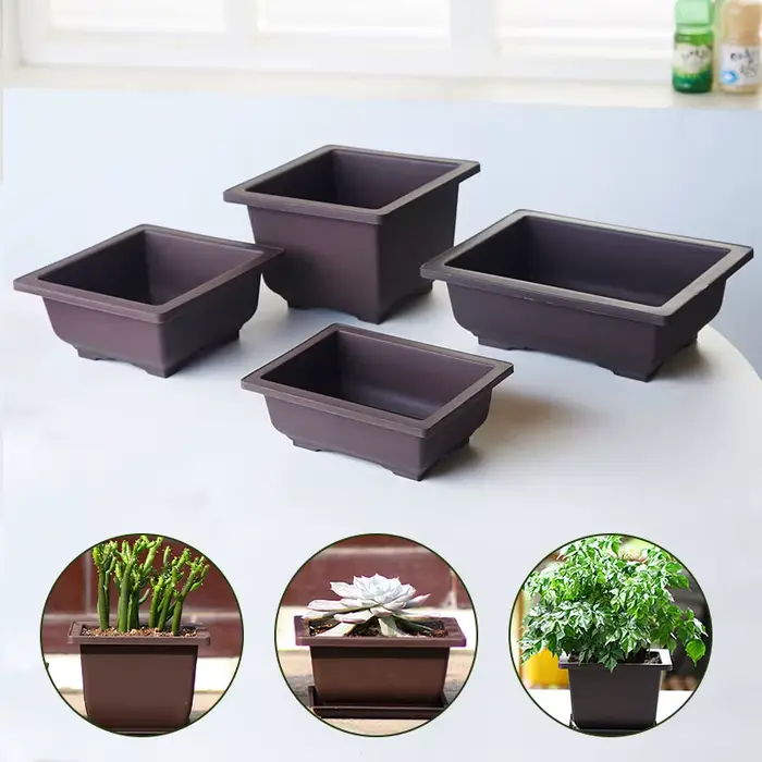 Pots à Bonsaï Rectangulaires pour Plantes Grasses