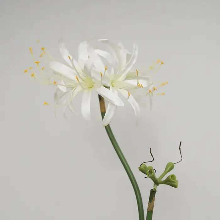 Fleurs artificielles en soie de lys d'araignée rouge