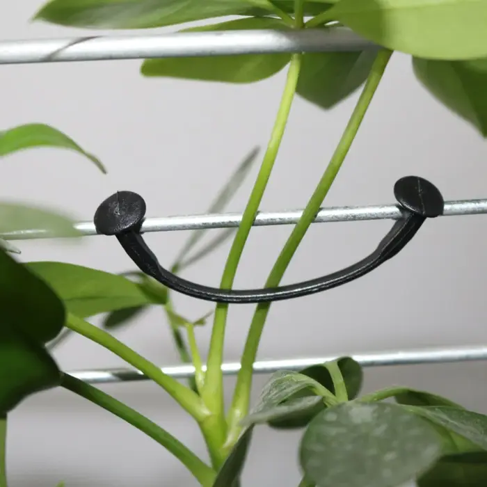 Boucle attachée pour plante de vigne, 1000 pièces, Clip de fixation pour vigne de raisin Kiwi, fleur