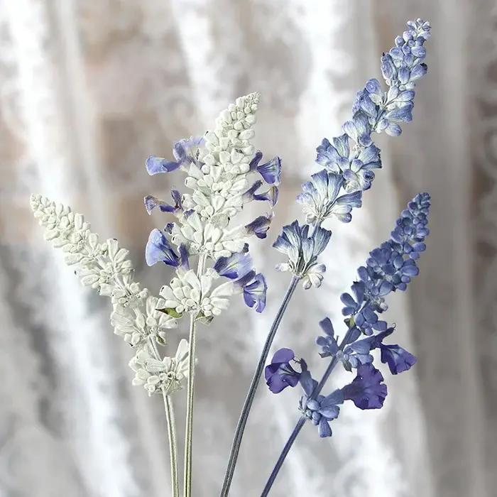 12 pièces/6-10 cm, en gros, spécimens de salvia naturelle, fleurs pressées pour marque-pages DIY, colle goutte à goutte, cadres photo décoratifs, matériaux végétaux