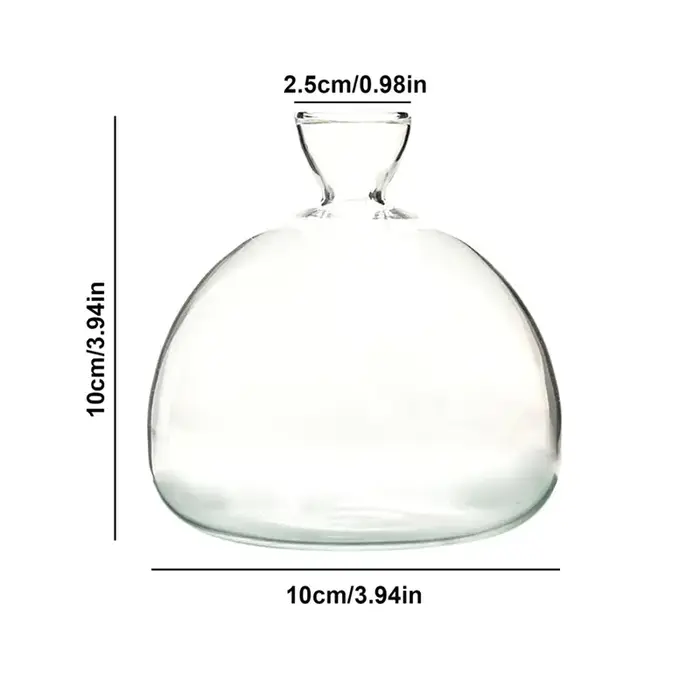 Vase hydroponique Transparent coloré d'avocat, Vase de démarrage de graines d'avocat en verre, Kit d