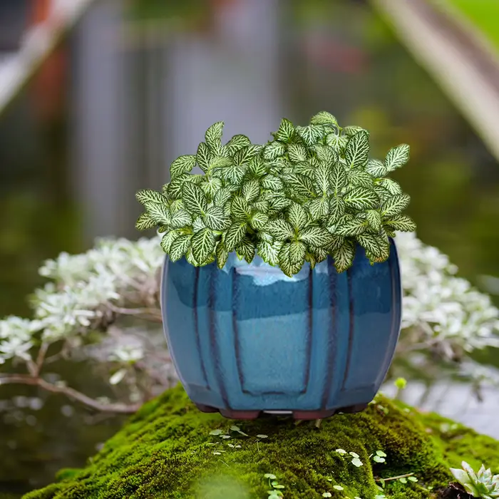 Pots de jardinières de jardin en céramique