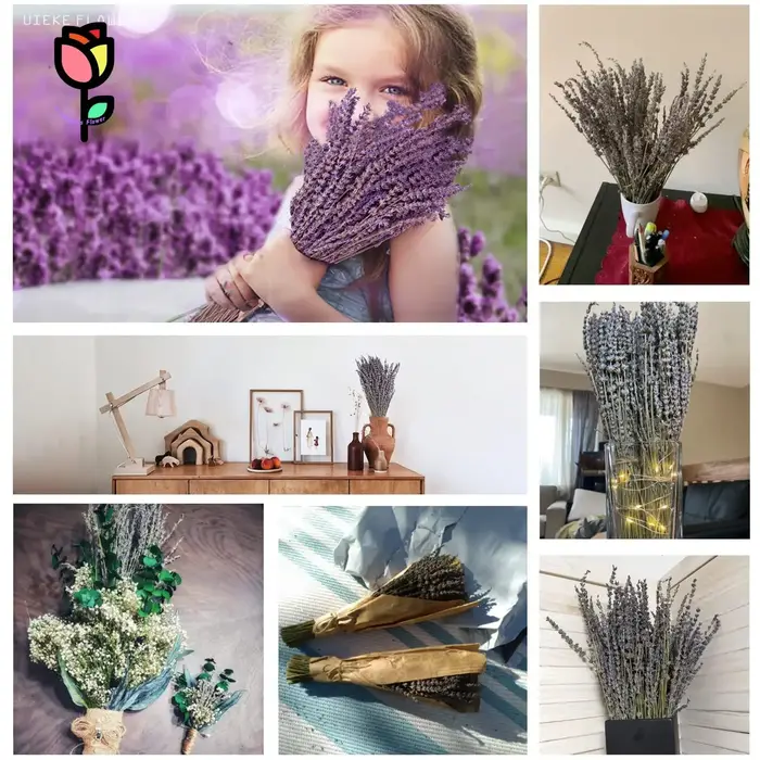 Bouquets de fleurs séchées de lavande préservée naturelle, 100 pièces, décoration de fête de mariage, fleur artificielle Pampas, décoration de noël pour la maison