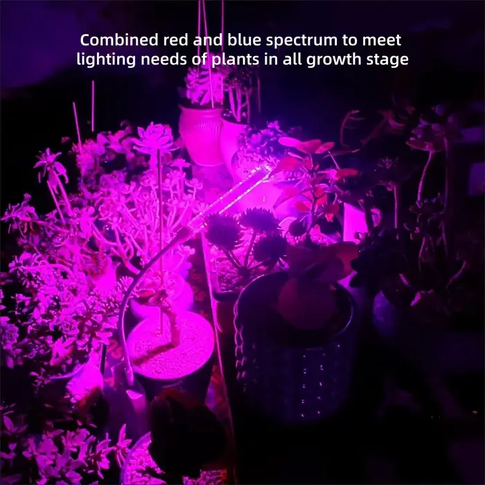 Lampe de culture LED USB flexible à col de cygne, spectre rouge-violet, pour plantes succulentes d'intérieur