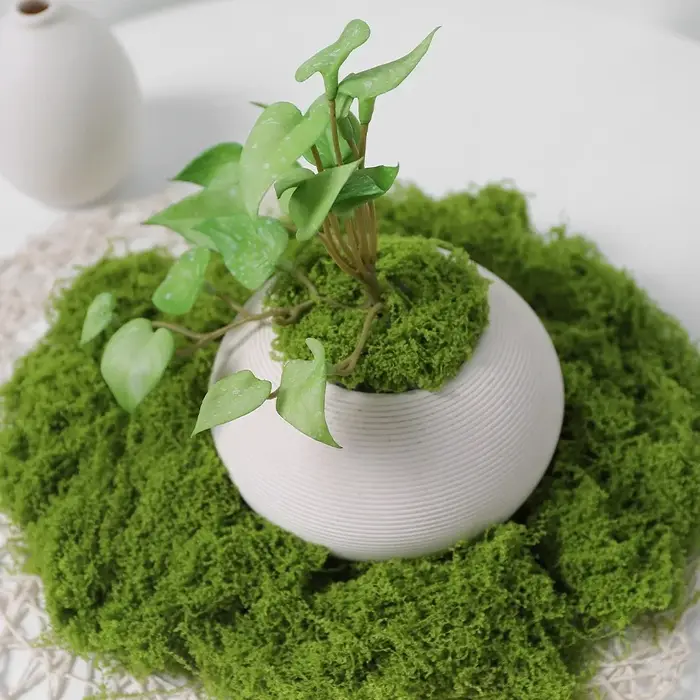 Plantes vertes artificielles