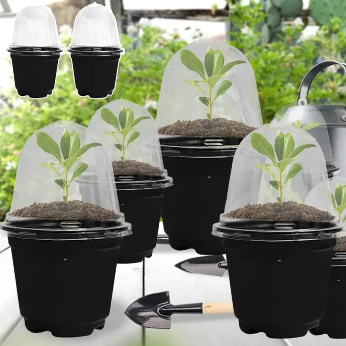 Pots de pépinière de semis