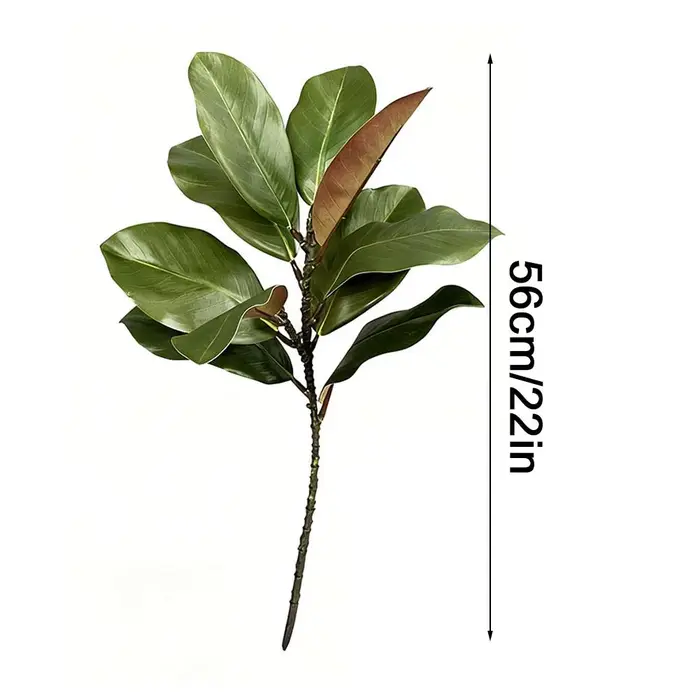 Feuilles de magnolia de style artistique de plante verte simulée