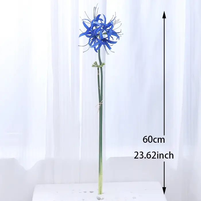 Higan – fleur de luxe à longue branche