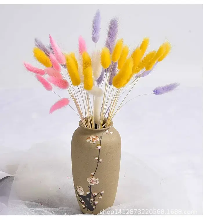 Fleurs naturelles séchées pour décoration de gâteau