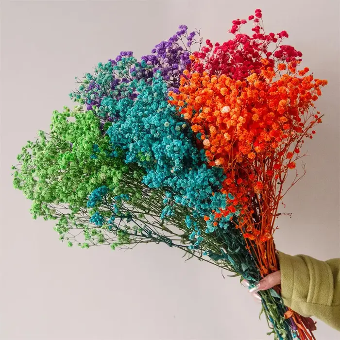 Mélange de fleurs séchées Gypsophila pour bébé
