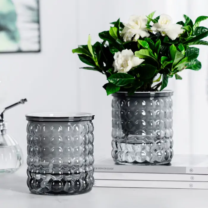 Mini pot de fleur à arrosage automatique, pots de plantes en plastique transparent, jardinière de po