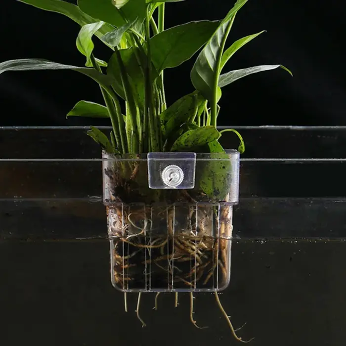 Panier de plantes d'aquarium Transparent