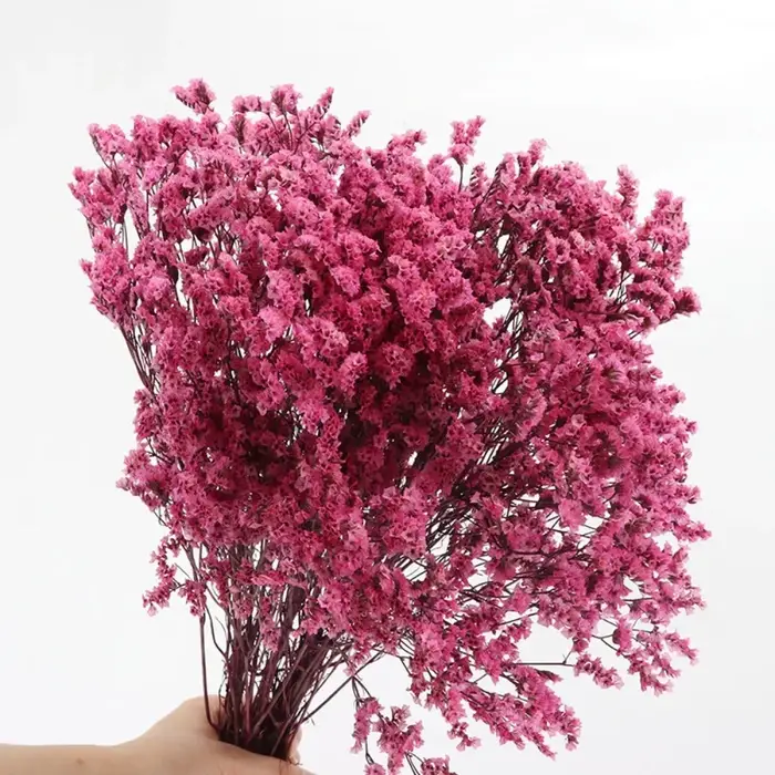 Bouquet de fleurs séchées colorées en herbe de cristal préservée naturelle, décor de mariage, fleurs