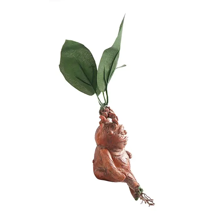 Mandrake herbe résine Statue paysage ornement Art Figurine artisanat pour jardin extérieur cour salon chambre cadeau
