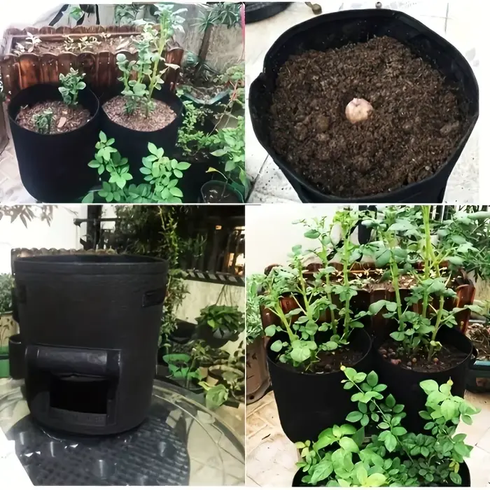 Sacs de culture pour jardin et pépinière