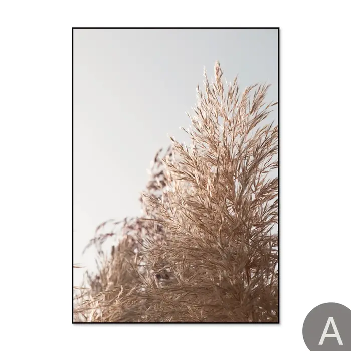 Ange Reed Nature Plante Toile Beige Paysage Peinture