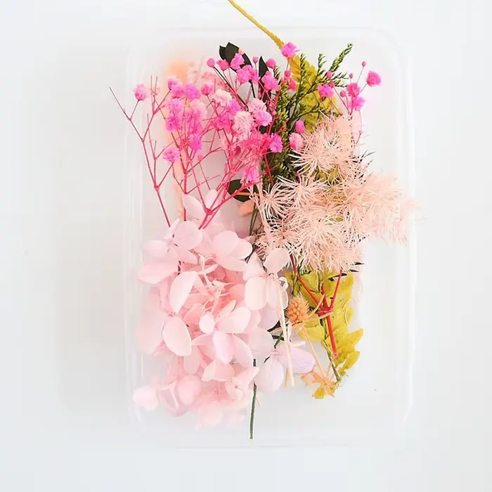 Ensemble de feuilles de fleurs séchées véritables
