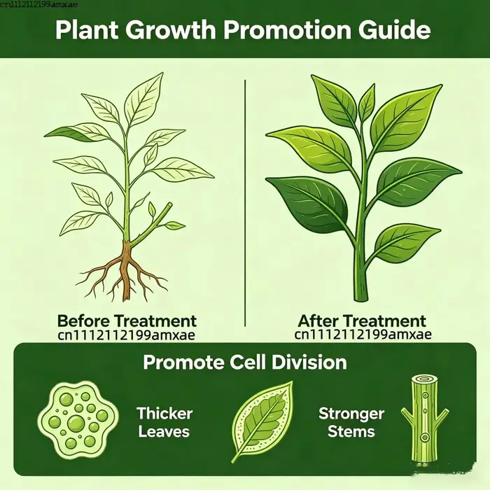 Poudre de Cytokinine 6-BA (6-Benzylaminopurine) Régulateur de Croissance Végétale pour Jardin et Ferme – Favorise la Division et la Germination