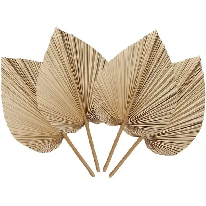 !2025 4 pièces de feuilles de palmier séchées naturelles
