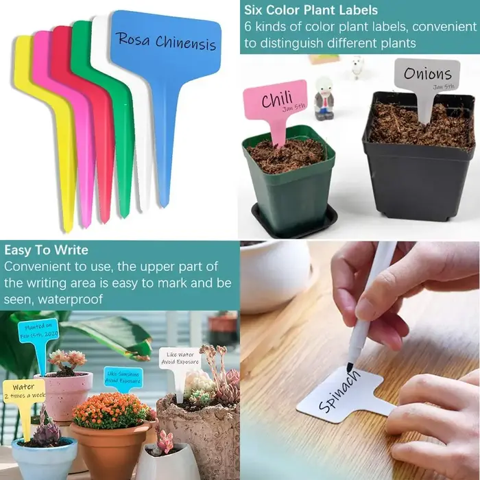Étiquettes de plantes en plastique