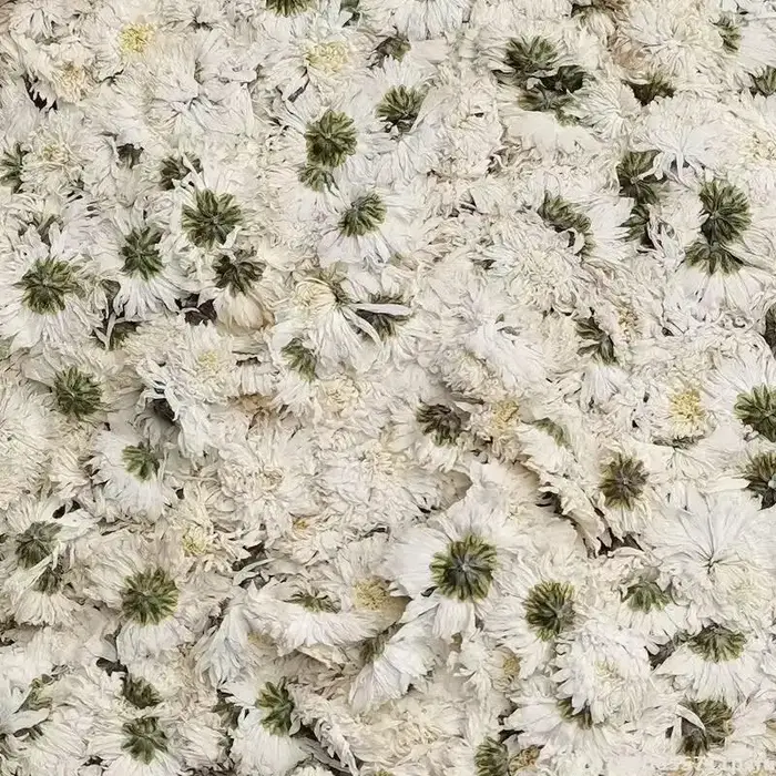 Fleurs Artificielles Décoratives Blanches : Chrysanthème et Camomille pour Vase, Ornement Maison, Mariage, Fête, Matière Première DIY