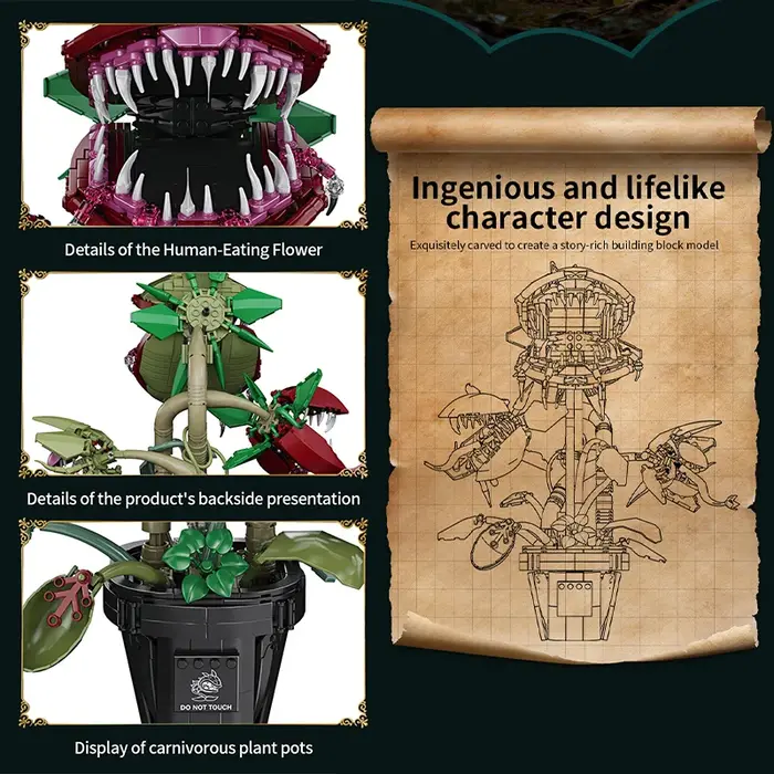 Plante carnivore créative en pot