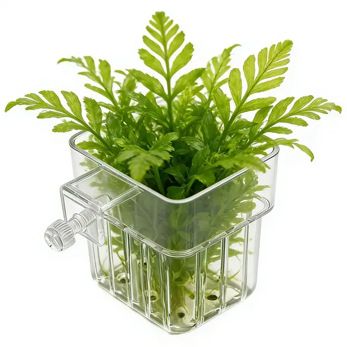Pot de culture suspendu transparent pour plantes d'aquarium