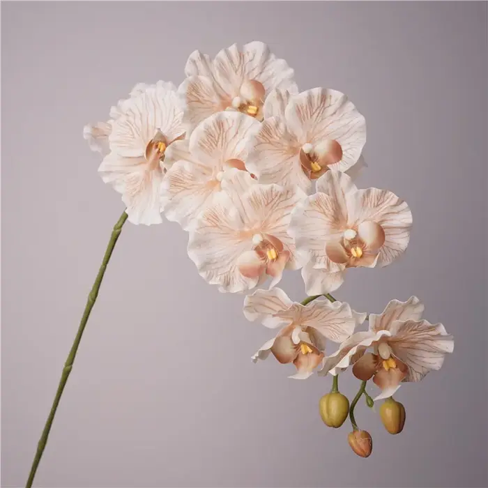 Fausses fleurs en film latex phalaenopsis