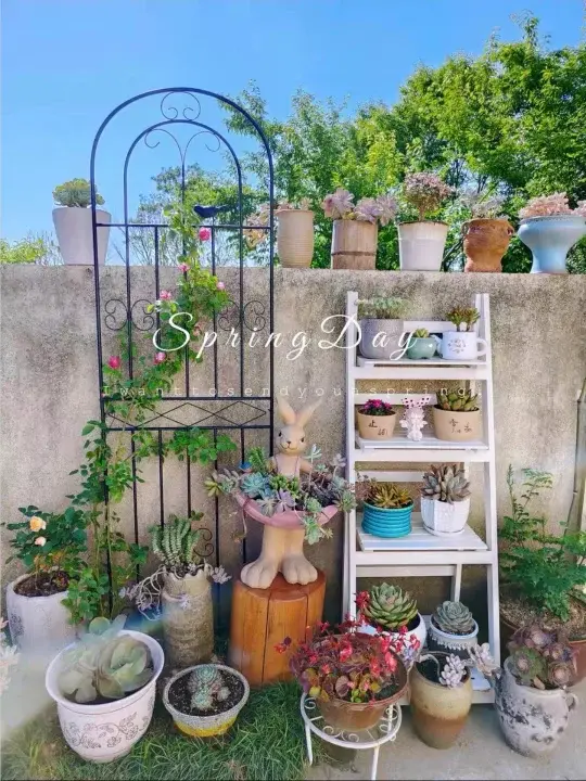 Clôtures de jardin d'extérieur en fer pour plantes grimpantes et fleurs
