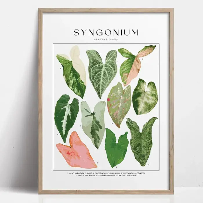 Impression d'art sur toile de feuilles botaniques vertes