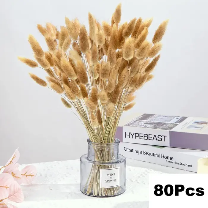 100 pièces/lot crème Pampas herbe moelleux chambre Phragmites décoration naturel lapin queue herbe f