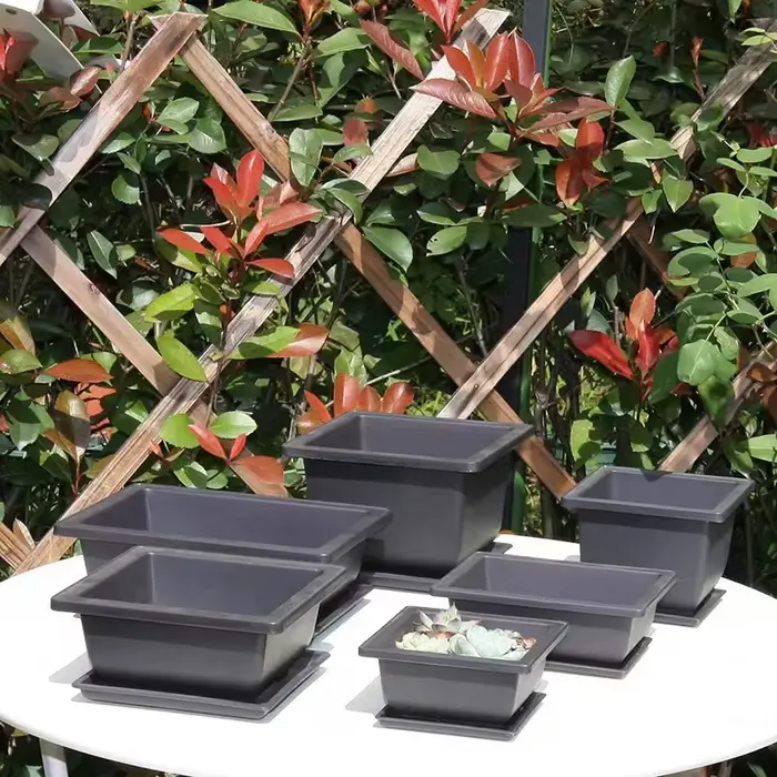 Pot de fleurs ovale carré et Hexagonal, plante succulente, bonsaï, petits jardinières en plastique, Imitation de poterie violette, vente en gros