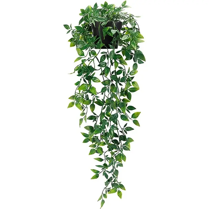 Plante de lierre artificielle en plastique