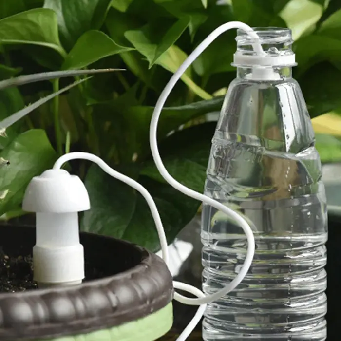 4 Piques d'arrosage automatiques en céramique pour plantes en pot