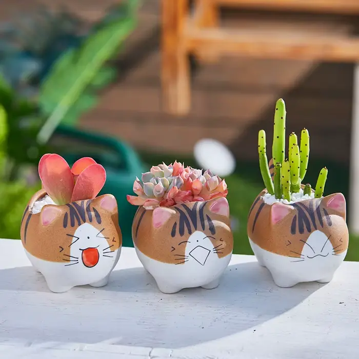 Pot de fleur en céramique pour bonsaï