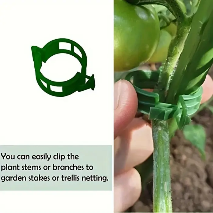 100 attaches pour plantes en plastique
