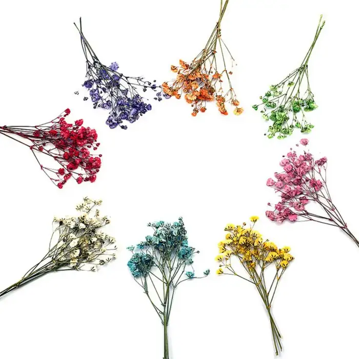 Bouquets de fleurs séchées naturelles