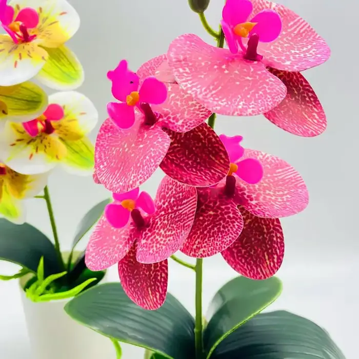 Plante Artificielle Phalaenopsis de 37x18cm