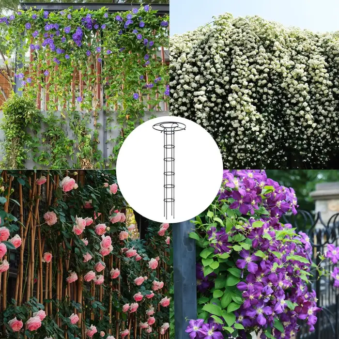 1 pièce Treillis de jardin en forme de parapluie pour plantes grimpantes