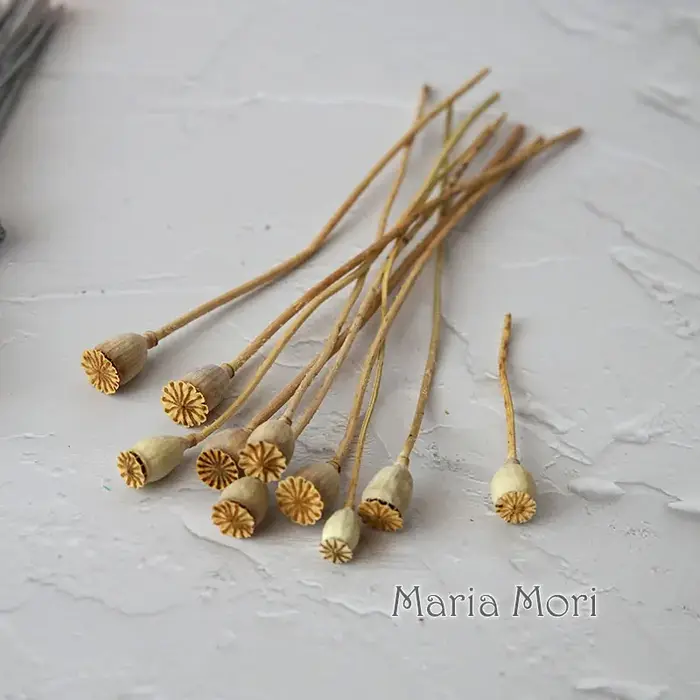 10 pièces/fleurs conservées maïs coquelicot fruits décoration de la maison bricolage matériel colle 